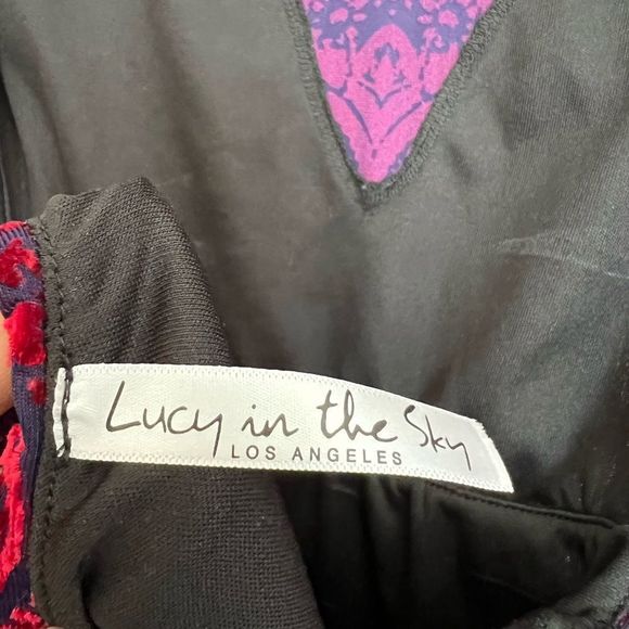 Lucy in the Sky Chloe Open Back Velvet Dress - Picture 8 of 11